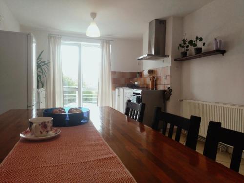 Kuchyň nebo kuchyňský kout v ubytování Apartamenty 47