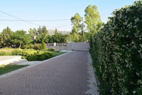 Gallery image of Βίλα Εύη in Ligourio