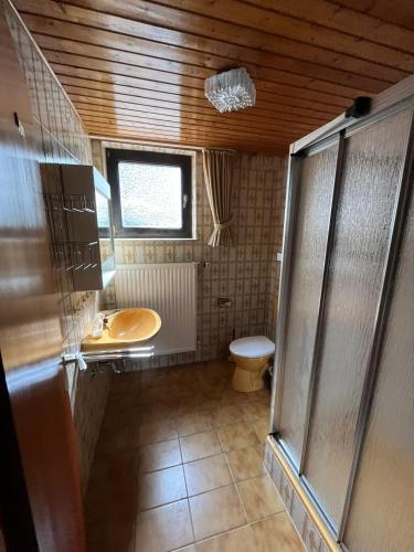 a bathroom with a toilet and a sink and a window at Pension Ernst im Herzen des Pfälzerwaldes mit Küche in Elmstein