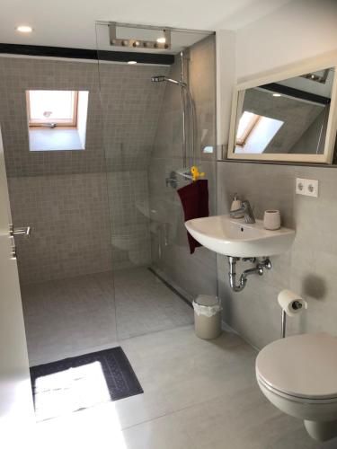 a bathroom with a shower and a toilet and a sink at Ferienhaus im Städtle in Müllheim