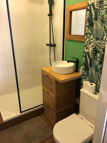 a bathroom with a sink and a shower at Appart au cœur de la ville (vue montagne) in Cauterets