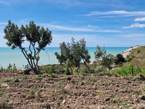 a group of trees on a hill near the ocean at Tendu' Punta Bianca Glamping Camp in Palma di Montechiaro