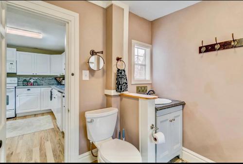 a bathroom with a toilet and a sink at The Historic Blue Bird Cottage in Colorado Springs