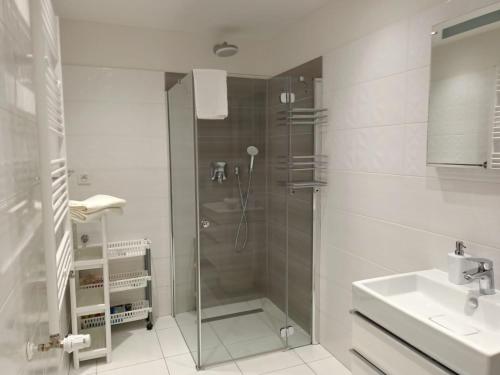 une salle de bain avec douche et lavabo dans l'établissement Apartament Maria, à Sianożęty