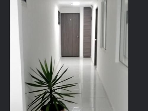 Fotografie z fotogalerie ubytování CASA HOTEL QR v destinaci Cali