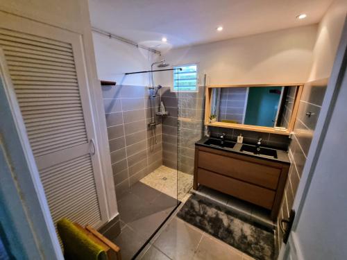 une salle de bain avec une douche avec un lavabo et un miroir dans l'établissement Villa Dali, Résidence Aquarelle, Sainte Rose, à Sainte-Rose