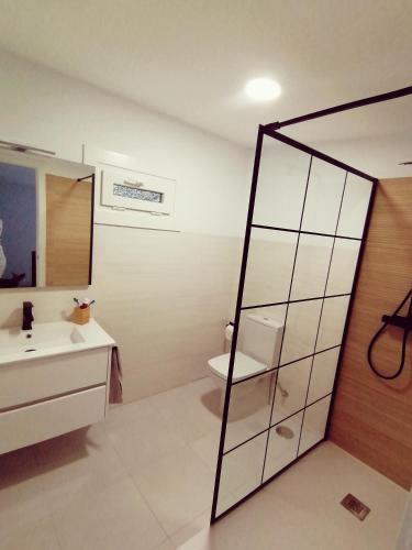 a bathroom with a toilet and a sink and a mirror at La Veiga Romana in Tui