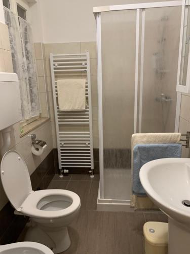 La salle de bains est pourvue de toilettes, d'une douche et d'un lavabo. dans l'établissement Casa Vacanza da Violetta, à Faedis