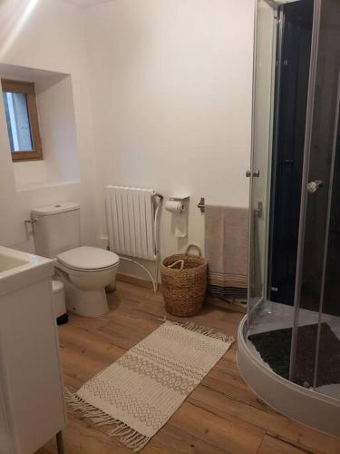 La salle de bains est pourvue de toilettes et d'une douche. dans l'établissement Studio au centre de Guémené-sur-Scorff, à Guéméné-sur-Scorff