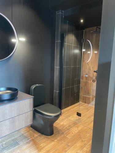 a bathroom with a toilet and a shower at Lägenhet Söder om Landsvägen A in Skivarp