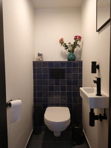 a bathroom with a toilet and a sink at In 't Wiel Oudenaarde in Oudenaarde