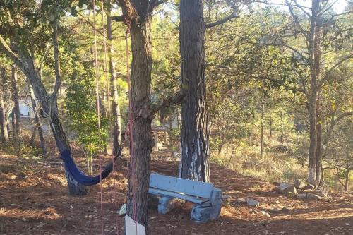 a tree with a bench tied to a tree at Casa de Campo Villa Carolina en Zambrano in Zambrano