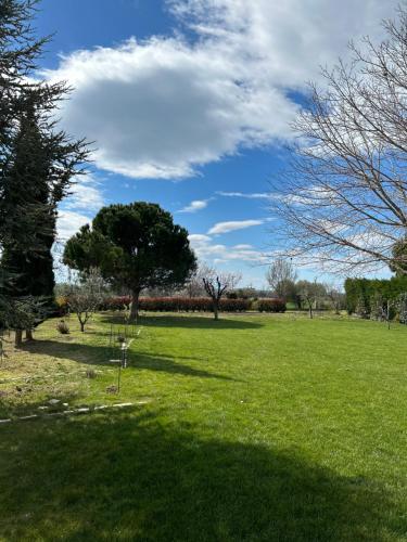 a green field with trees and a blue sky at Melody Birds in Dhíkella