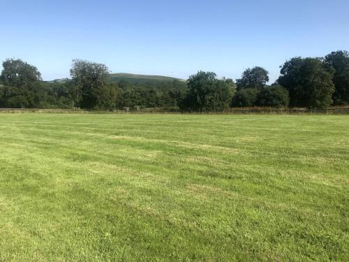 ein großes Grasfeld mit Bäumen im Hintergrund in der Unterkunft Romantic Rural Break In Countryside Castle Grounds Private Retreat Wizards Rest in Bishops Tawton