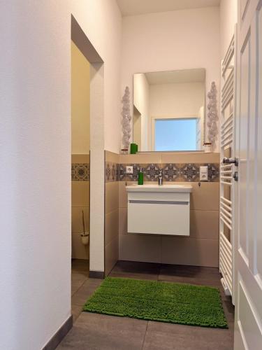 a bathroom with a sink and a mirror at Boardinghouse alte Spinnerei in Offenburg