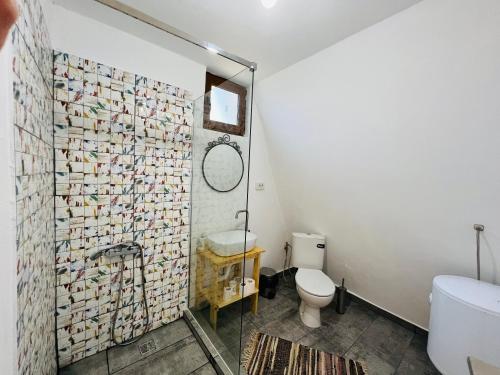 La salle de bains est pourvue d'une douche, de toilettes et d'un lavabo. dans l'établissement Horezu Cozy Cabin, 
