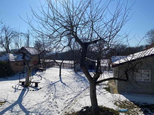 a tree in the snow next to a building at Verina kuća in Kosjerić