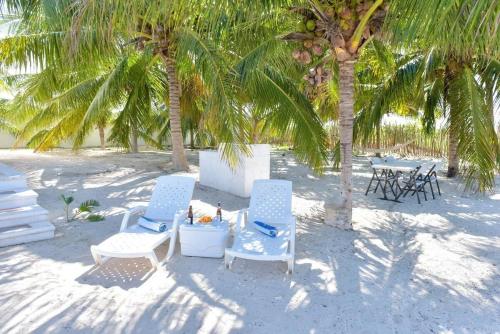 two chairs and a table on a beach with palm trees at Telchac Beach House in Telchac Puerto