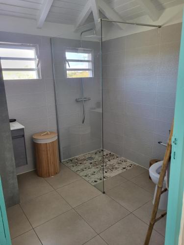 a bathroom with a shower and a toilet at Les gîtes de Macca in Saint-François