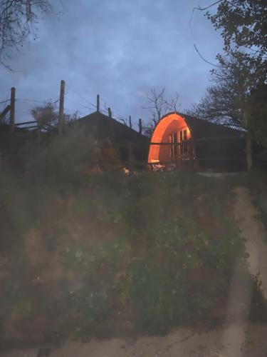 an orange dome in a field with a fence at Gallas Pod House in Vouzela