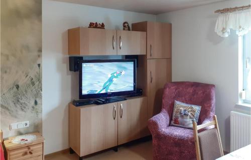 TV a/nebo společenská místnost v ubytování Pet Friendly Apartment