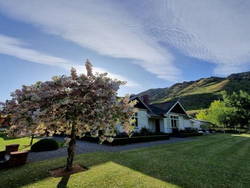 a tree in a yard in front of a house at Hurunui Homestead Bed and Breakfast in Hawarden