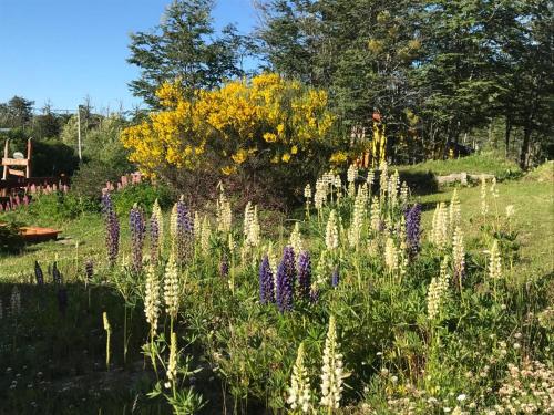 a garden with purple and white flowers in a field at Cabaña de las Flores in Tolhuin
