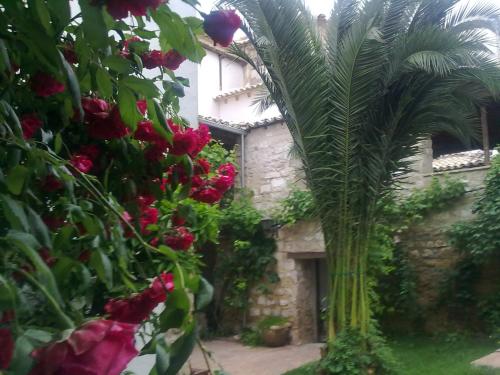 Un jardín fuera de Apartamentos Turísticos El Losal