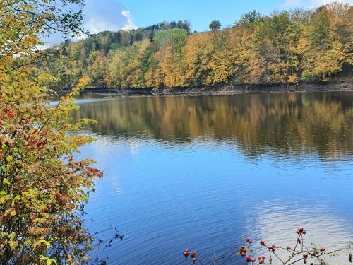 a view of a lake in the fall at Holzhaus am See mit Panoramablick in Trausnitz
