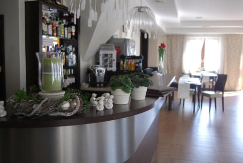 a kitchen with a counter with a blender on it at Hotel Restauracja Cztery Pory Roku in Orneta