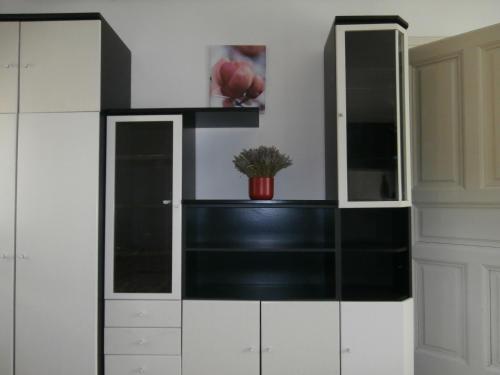 czarno-biała szafka z rośliną w obiekcie Apartment Lavanda 1 - Zagreb w Zagrzebiu