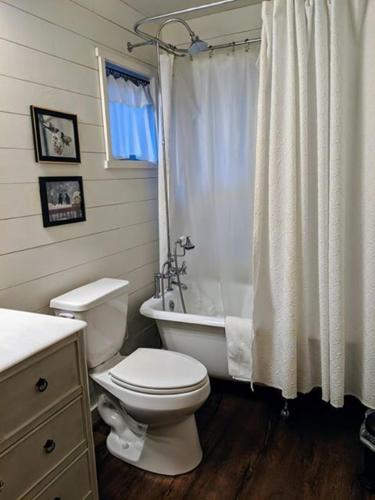 a bathroom with a toilet and a tub and a shower at Cabin #7 in Strawberry