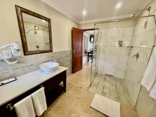 a bathroom with a sink and a shower at Black Eagle Hotel & Spa in Roodepoort