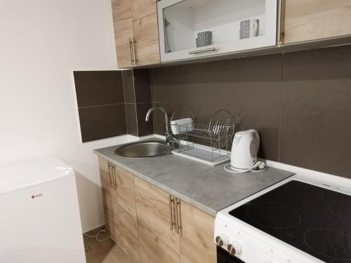 Virtuvė arba virtuvėlė apgyvendinimo įstaigoje Apartman Biljana