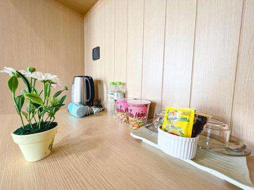 a counter with plants and containers on top of it at Lam's Beach Homestay in Phan Thiet