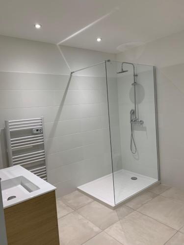 a bathroom with a shower and a sink at Villa Mare d'argentu La solenzara in Sari Solenzara