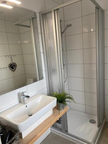 a bathroom with a sink and a shower at Ferienhaus mit Sauna in Zingst