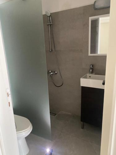 uma casa de banho com um chuveiro, um WC e um lavatório. em Kouppa Latchi em Pólis
