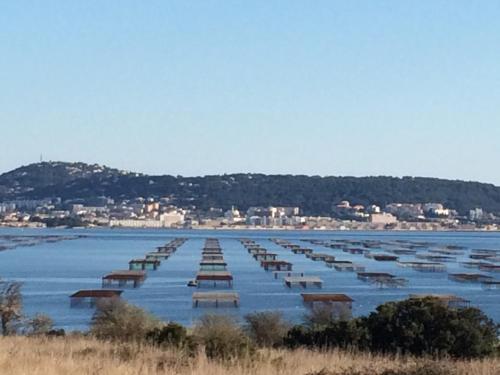 a large body of water with rows of boats in it at Hôtel Le Gambetta in Vias