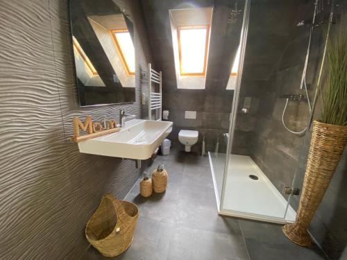 ein Bad mit einem Waschbecken, einer Dusche und einem WC in der Unterkunft Villa Gudrun, luxury Beach House in Zingst