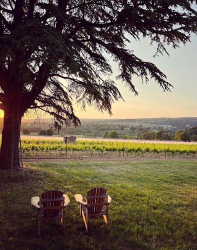 deux bancs assis dans l'herbe sous un arbre dans l'établissement Le Vieux Portail, à Saint-Saturnin-lès-Apt