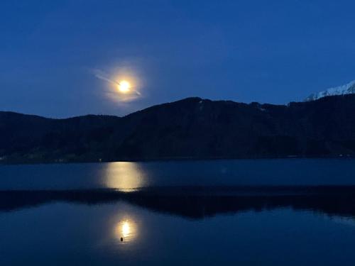 a full moon rising over a lake at night at Seepension Neubacher KG in Nussdorf am Attersee