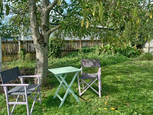 two chairs and a table next to a tree at Little Gem - City Centre in Hamilton