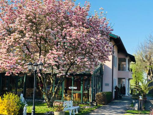 a tree with pink flowers in front of a building at Landhaus Riedl in Bad Füssing