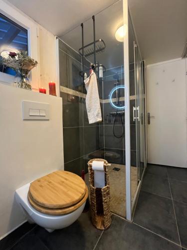 a bathroom with a toilet and a shower at Circuit 24h du Mans in Coulaines