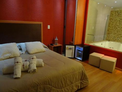 a hotel room with a bed and a television at Hotel Necof in Rosario
