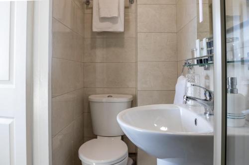 a bathroom with a toilet and a sink at The Waterfront in Dingle