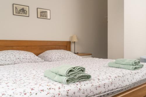a bed with two towels sitting on top of it at Penzion Grado Davle in Davle