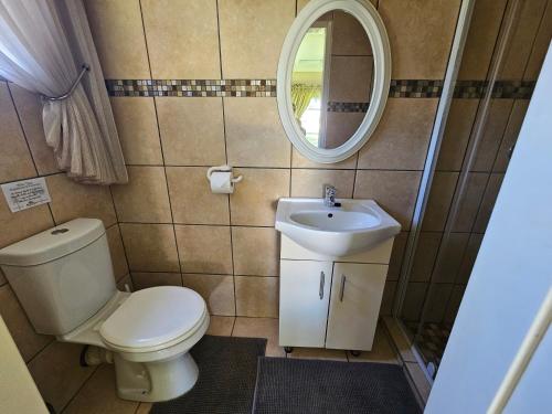 a bathroom with a toilet and a sink and a mirror at Aloetree Cloves room in Krugersdorp