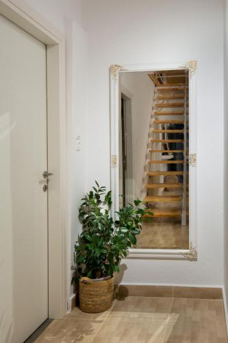 a mirror in a hallway with a plant and a staircase at Vive Mar Paxos in Gaios